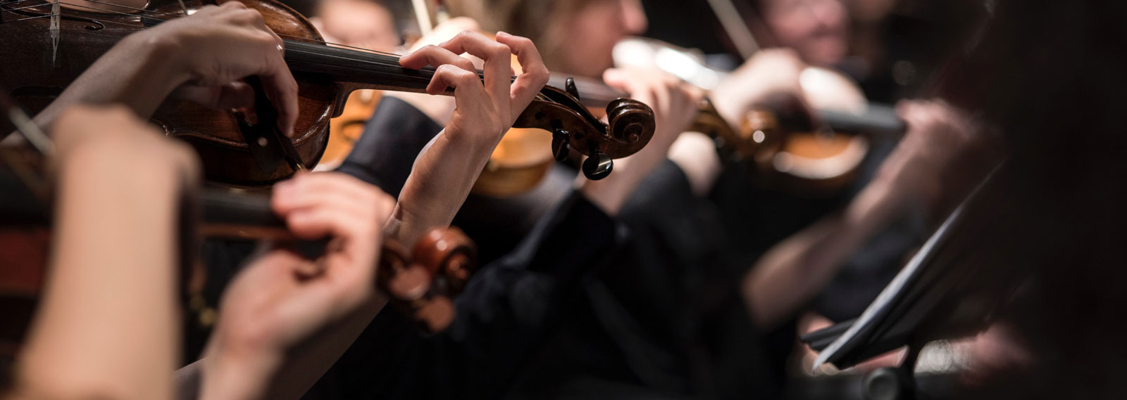 Close-up of a violin concerto